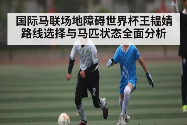 国际马联场地障碍世界杯王韫婧路线选择与马匹状态全面分析